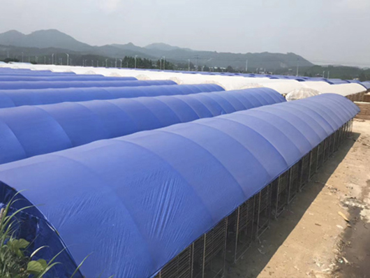 Multi tunnel 180gsm greenhouse blue outdoor tarpaulins covers in agriculture waterproof sheet roof cold resistant and frost resistant