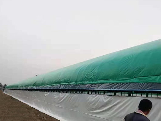 Green waterproof UV resistant tarpaulin cover roll plastic tarpaulins 170gsm for agricultural greenhouse