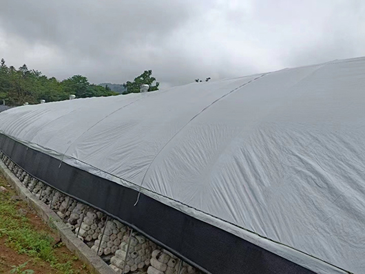 5 Mil 6 Mil 8 Mil Black And White Reinforced Poly Film Blackout For Greenhouse Plastic Cover