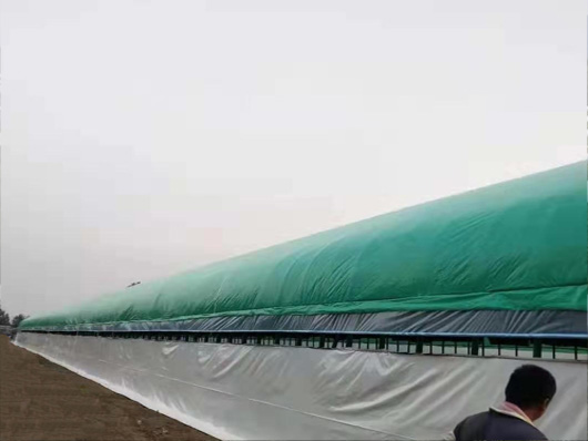 Agricultural greenhouse  tarpaulin
