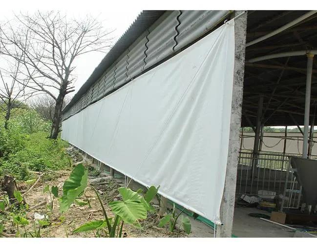 Polyethylene HDPE plastic agriculture tarpaulin white rolls waterproof roof cover anti sun curtain