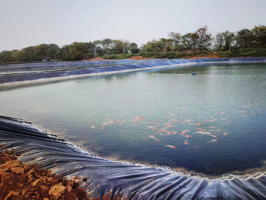 Tank dam liner 0.5mm Black waterproof hdpe geomembrane liners plastic pond liner for shrimp farm or fish koi farming