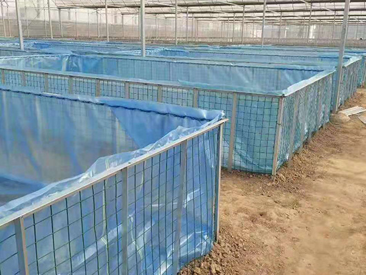 Clear Blue koi pond vannamei shrimp plastic film for shrimp aquaculture tank fish farming sheet or dam liners