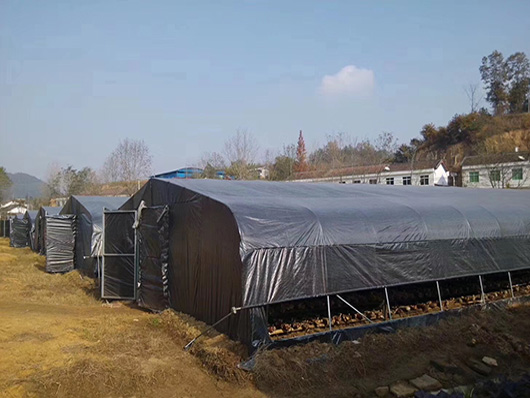 Agricultural mushroom planting greenhouse tarpaulin woven white black leno film for Oyster Mushroom 130gsm black transparent