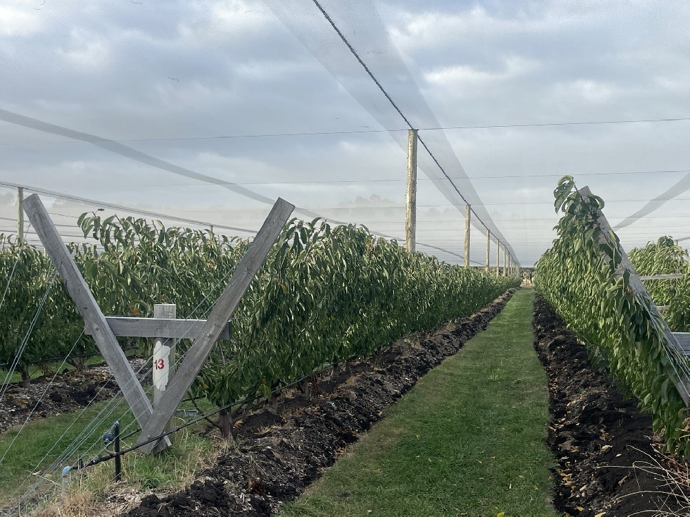 The automatic orchard rain cover system with Australia has been launched