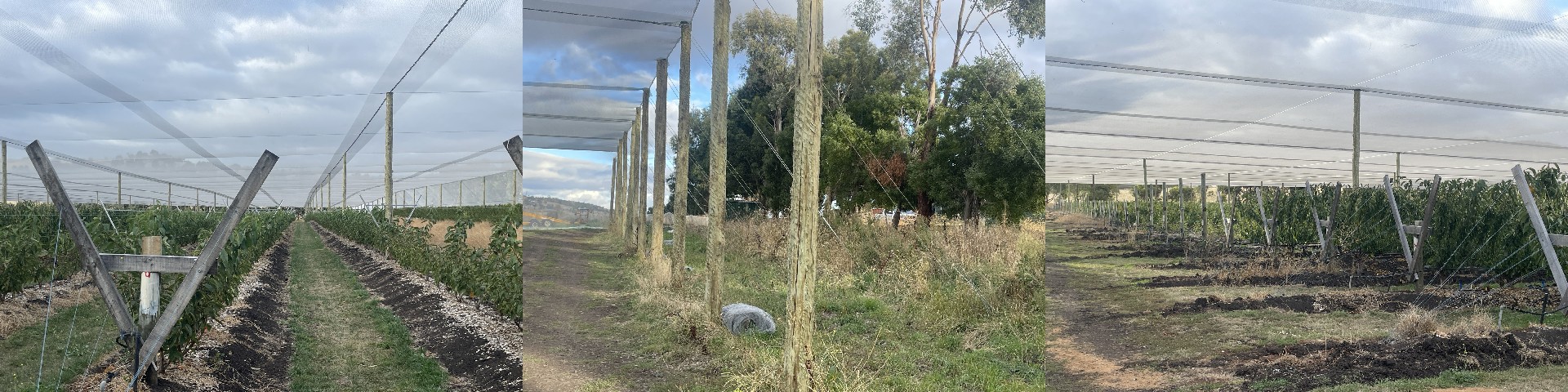 Australia rain cover system.jpg