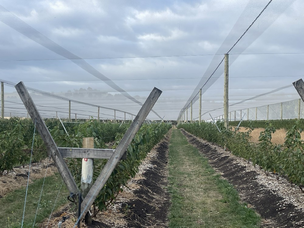 Automatic Rain Cover With System In Australia