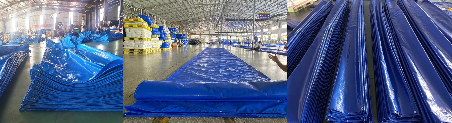 blue sheet produce.jpg